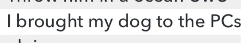 Image attachment thumbnail