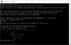 Image attachment thumbnail