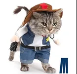 Image attachment thumbnail