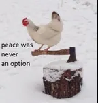 Image attachment thumbnail