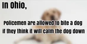 Image attachment thumbnail