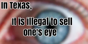 Image attachment thumbnail