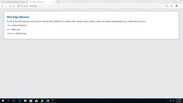 Image attachment thumbnail