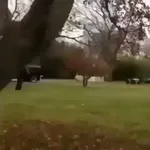 Video attachment thumbnail