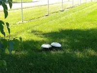 Image attachment thumbnail