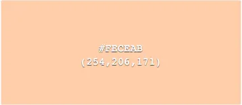 Image attachment thumbnail