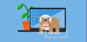 Image attachment thumbnail