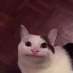 Image attachment thumbnail