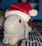 Image attachment thumbnail