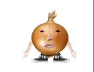 Image attachment thumbnail