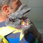 Image attachment thumbnail