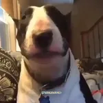 Video attachment thumbnail