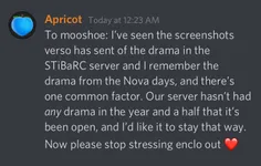 Image attachment thumbnail