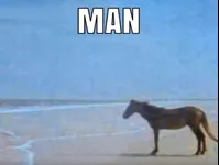 Image attachment thumbnail