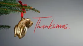 Image attachment thumbnail