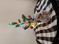 Image attachment thumbnail