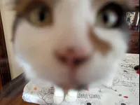 Image attachment thumbnail