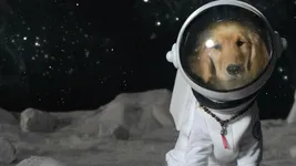 Image attachment thumbnail