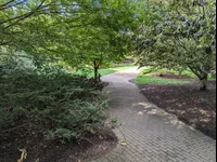 Image attachment thumbnail