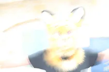 Image attachment thumbnail