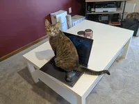 Image attachment thumbnail