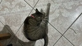 Image attachment thumbnail