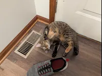 Image attachment thumbnail