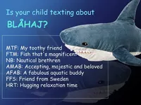 Image attachment thumbnail