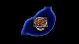 Video attachment thumbnail