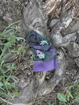 Image attachment thumbnail