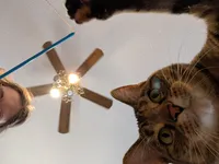 Image attachment thumbnail