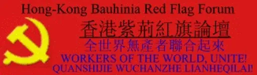 Image attachment thumbnail