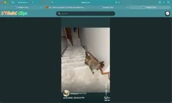 Image attachment thumbnail