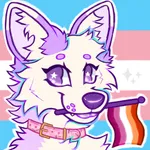 Image attachment thumbnail