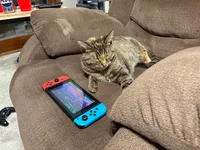 Image attachment thumbnail