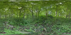 Image attachment thumbnail