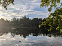Image attachment thumbnail