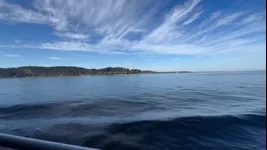 Video attachment thumbnail