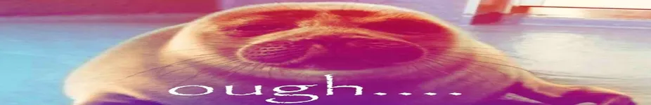 Image attachment thumbnail