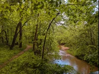 Image attachment thumbnail