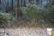 Image attachment thumbnail